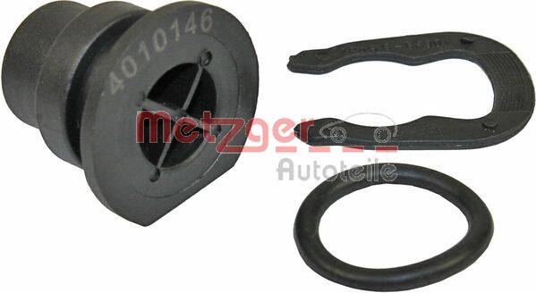 Plug, coolant flange