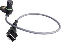 Nokkenassensor