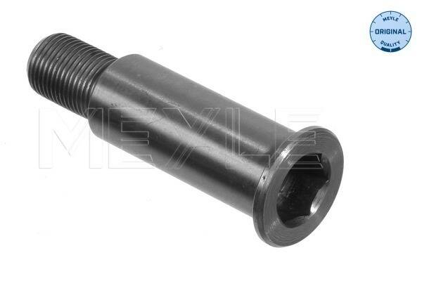 Bearing Journal, tensioner pulley lever