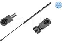 Bonnet gas struts