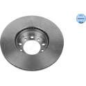 Bremssatz (2 Bremsscheiben) MEYLE - 015 521 2002