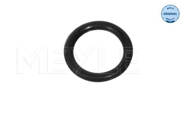 Gasket, coolant flange (x10)