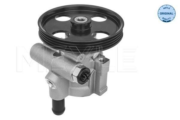 Hydraulic pump steering system