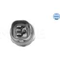 Interrupteur de température (ventilateur radiateur) MEYLE - 100 959 9001