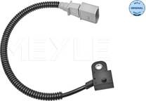 Nokkenassensor