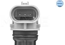 Nokkenassensor