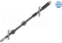 Remslang