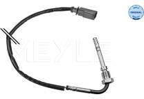Sensor, Abgastemperatur