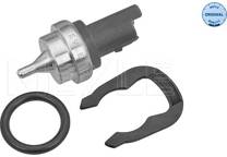Sensor, Kühlmitteltemperatur