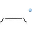 Stabilisateur (chassis) MEYLE - 114 753 0018