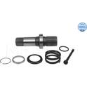 Steckwelle, Differential MEYLE - 100 498 0243