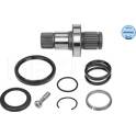 Steckwelle, Differential MEYLE - 100 498 0245