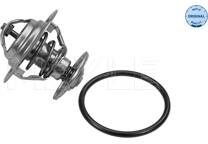 Thermostat, coolant