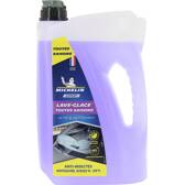 Vindrutespolare -20°C - 4L MICHELIN - 009291