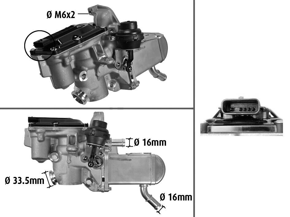 EGR Valve
