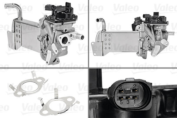 EGR Valve