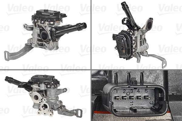 EGR Valve
