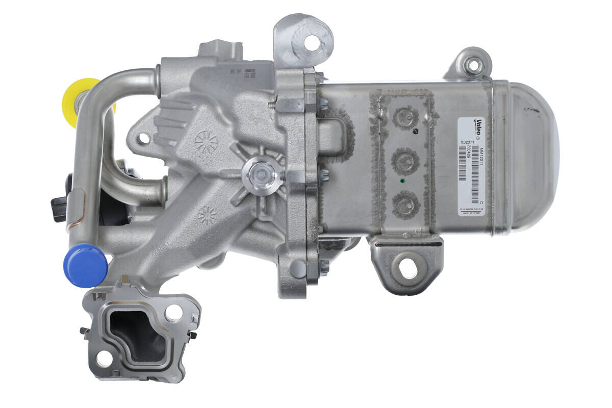 EGR Valve
