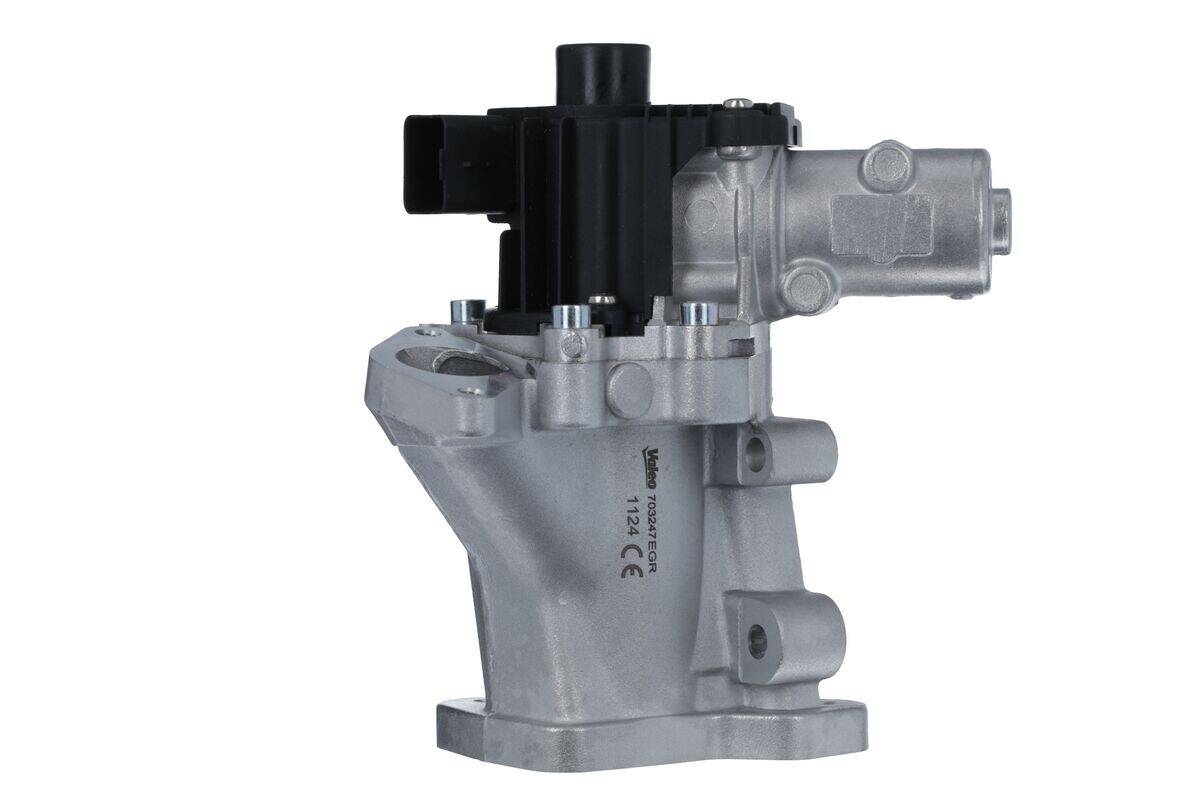 EGR Valve