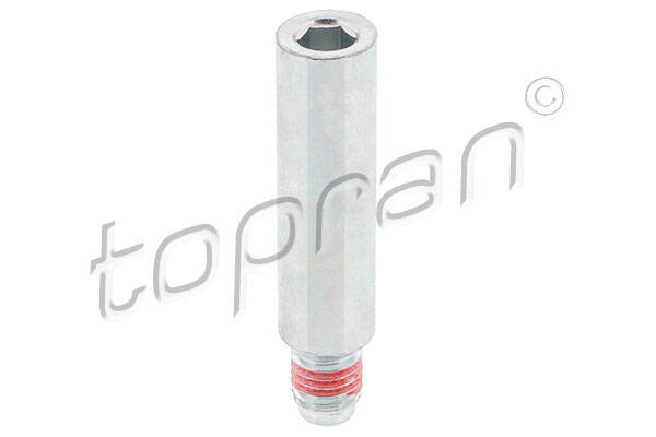 Bolt, brake caliper
