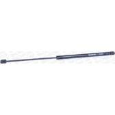 Ammortizzatore Pneumatico RIDEX 219G0591 Per Portellone Posteriore FORD Fiesta Mk6 – Lunghezza 544 Mm, Forza 335N