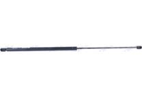 Bonnet gas struts