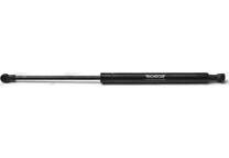 Bonnet gas struts