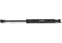 Bonnet gas struts