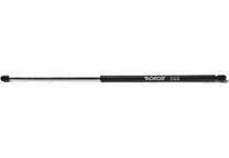 Bonnet gas struts