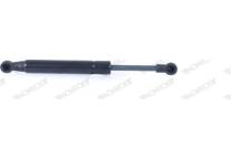 Bonnet gas struts
