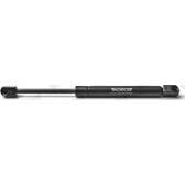 Boot struts MONROE - ML5323
