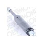 Gasfeder, Koffer-/Laderaum MONROE - ML5535