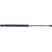 Gasfeder, Koffer-/Laderaum MONROE - ML5691