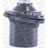 Appareil D'appui à Balancier, Coupelle De Suspension MONROE