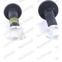 Screw Kit, suspension strut/wheel bearing housing MONROE - AK058