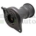 Ammortizzatore / Molla pneumatica (x1) MONTCADA - 0296780