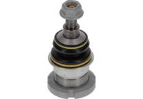 Fuseekogel
