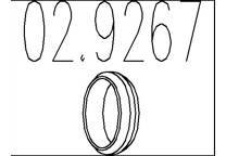 Seal Ring, exhaust pipe