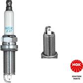 Spark Plug (per unit) NGK - 1208