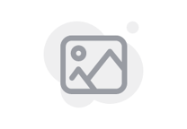 Bremsscheibe hinten