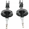 Kit di 2 ammortizzatore NPS - R497T01
