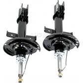 Kit di 2 ammortizzatore NPS - R497T08