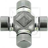 Asster, rondsel NPS - D283O01