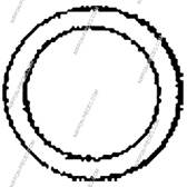 Bague d'étanchéité (tuyau d'échappement) NPS - T433A14