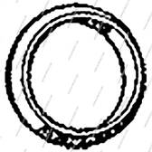 Bague d'étanchéité (tuyau d'échappement) NPS - T433A17