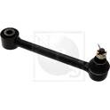 Bras de suspension NPS - K421A51