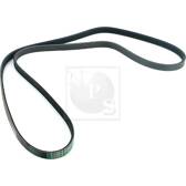 Cinghia Poly-V NPS - D111U12