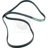 Cinghia Poly-V NPS - D111U13