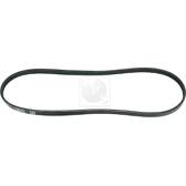 Cinghia Poly-V NPS - H111A36