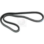 Cinghia Poly-V NPS - K111A02